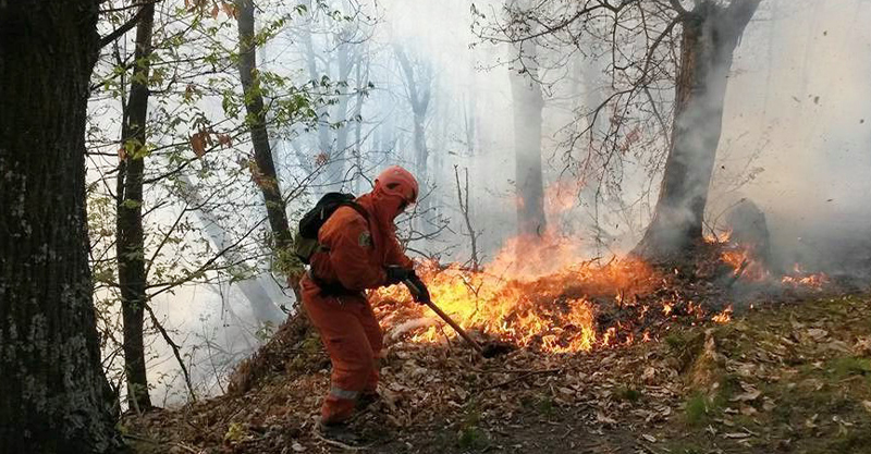 1002/5000 Forest fire fighting protagonist at REAS 2019